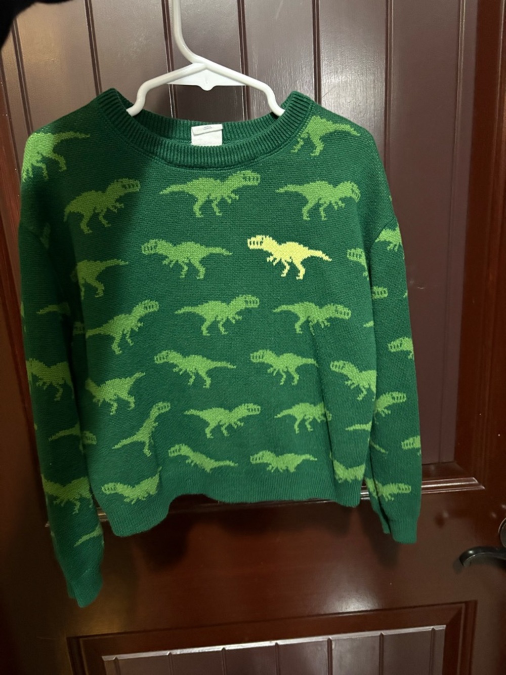 GAP Green Knit Sweater with Yellow Dinosaur Motif